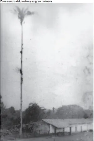 Medición de tierras en 1803